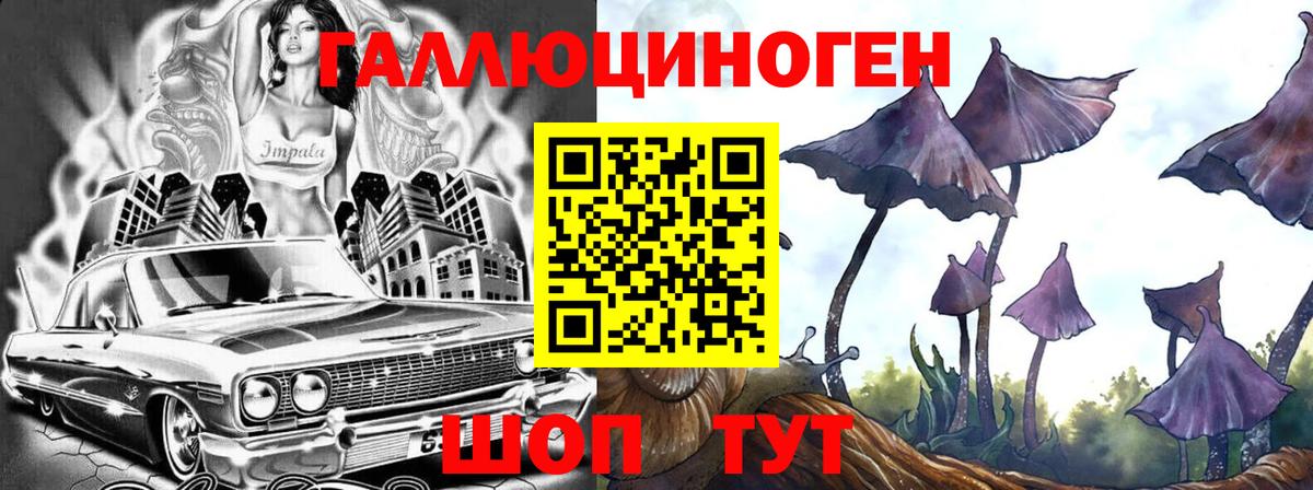Черногорск  Галлюциногенные грибы ЛСД  Вход с VPN 