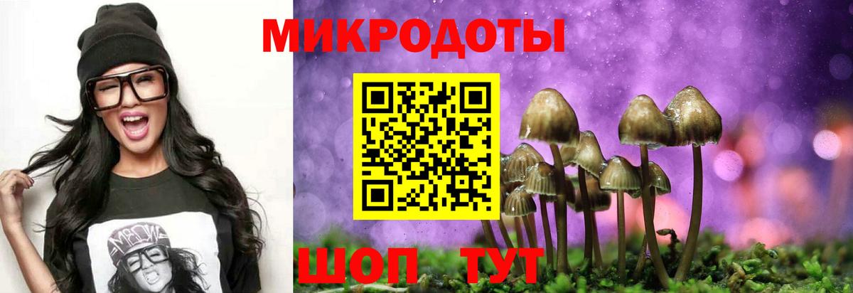 Галлюциногенные грибы Magic Shrooms Черногорск